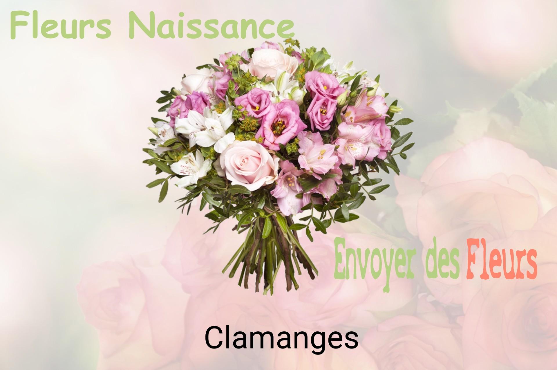Bouquet de fleurs de naissance livré à Clamanges